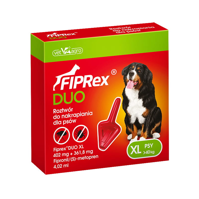 DUO XL.jpg